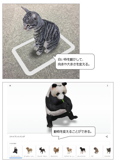 ARねこやARパンダを出現させました。Googleアプリでは、動物を簡単に変更できます。
